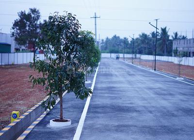 Project Image of 968.0 - 2063.0 Sq.ft Residential Plot Plot for buy in Address Aira
