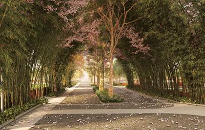 Tangled Up In Green Landscape Garden and Tree Planting 3
