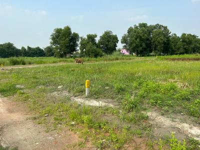 Project Image of 1440.0 - 2160.0 Sq.ft Residential Plot Plot for buy in Southview Star City