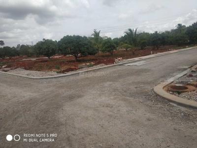 Project Image of 1200.0 - 4000.0 Sq.ft Residential Plot Plot for buy in Lone Star Tuscany