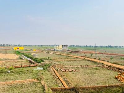 Project Image of 1200.0 - 3000.0 Sq.ft Residential Plot Plot for buy in My Nest Aditi Nagar