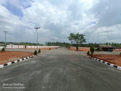 Project Image of 812.0 - 1902.0 Sq.ft Residential Plot Plot for buy in Senthur Star Avenue