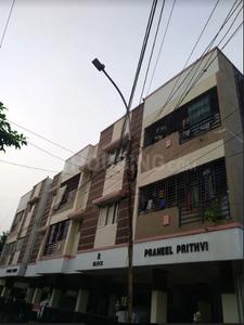 Project Image of 0.0 - 841.0 Sq.ft 2 BHK Apartment for buy in Praneel Prithivi