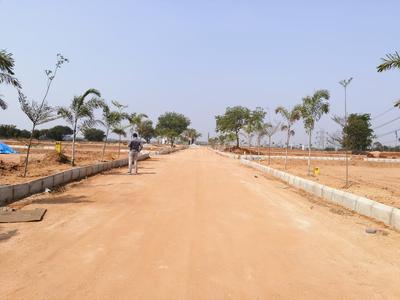 MS Nakshatra Plot 2