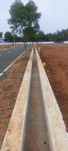 Project Image of 2358.0 - 4008.0 Sq.ft Residential Plot Plot for buy in Daisy Garden