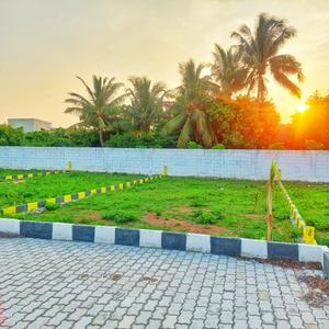 Project Image of 1207.0 - 1262.0 Sq.ft Residential Plot Plot for buy in NRI Maple Garden