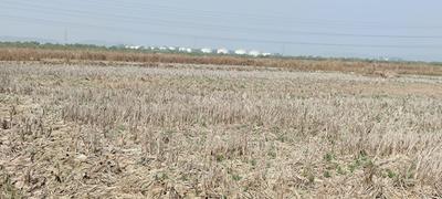Project Image of 1000.0 - 10000.0 Sq.ft Residential Plot Plot for buy in Bhoomi Plots Chirle