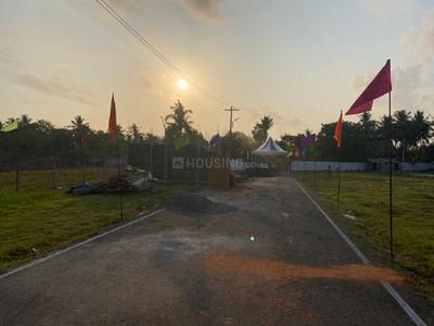 Project Image of 675.0 - 2340.0 Sq.ft Residential Plot Plot for buy in MS Avenue