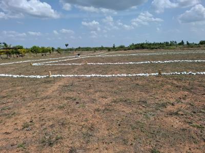 Project Image of 600.0 - 1459.0 Sq.ft Residential Plot Plot for buy in Superr Vigneshwarar Nagar