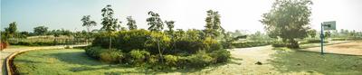 Project Image of 600.0 - 3000.0 Sq.ft Residential Plot Plot for buy in KNS Anirvan