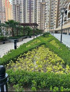 Project Image of 1055.0 - 2330.0 Sq.ft 2 BHK Apartment for buy in Divyansh Onyx Block D2 And D3