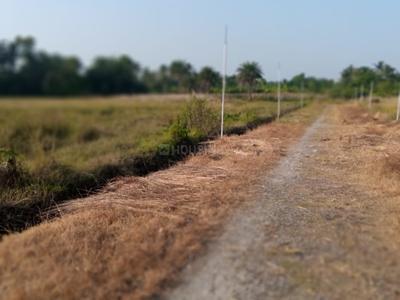 Project Image of 1080.0 - 3240.0 Sq.ft Residential Plot Plot for buy in Rasapunja Abasan Plot