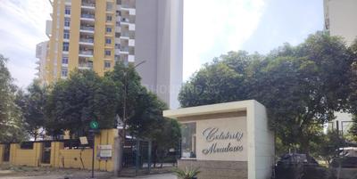 Project Image of 860.79 - 1393.6 Sq.ft 2 BHK Apartment for buy in Ansal Celebrity Medows Block E