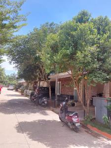 Project Image of 2200.0 - 4200.0 Sq.ft 3 BHK Villa for buy in Grand Duke villa
