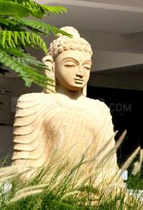 Project Image of 1190.0 - 2065.0 Sq.ft 2 BHK Apartment for buy in Alekhya Earth Song