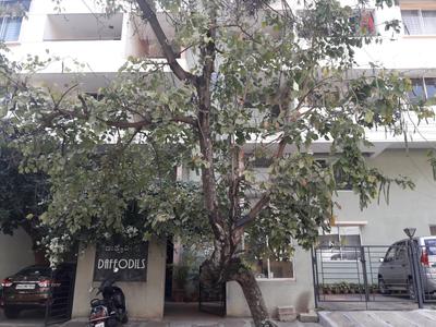 Project Image of 1800.0 - 3000.0 Sq.ft 2 BHK Apartment for buy in Renaissance Daffodils