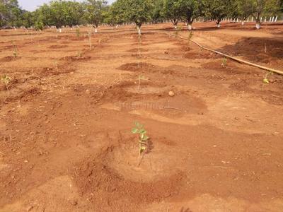 Project Image of 0.0 - 9143.94 Sq.ft Residential Plot Plot for buy in Pudami Organic Farm Land