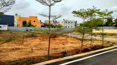 Project Image of 1000.0 - 1900.0 Sq.ft Residential Plot Plot for buy in Amethyst Haven
