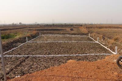 Project Image of 1000.0 - 10000.0 Sq.ft Residential Plot Plot for buy in Mahamumbai Plots In Vindhane