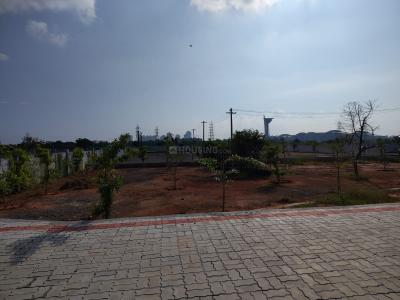 Project Image of 750.0 - 1770.0 Sq.ft Residential Plot Plot for buy in Galaxy Casa Palmera