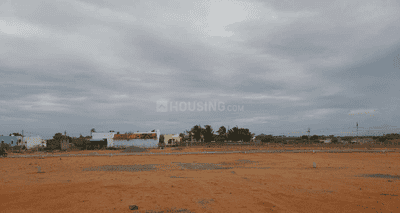 Project Images