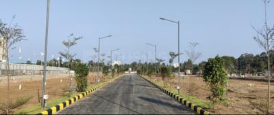 Verify Daffodil Park Plot 1