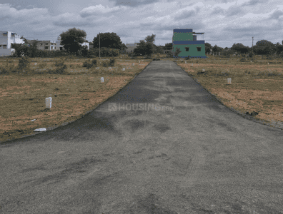 Project Images