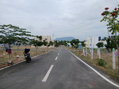 Project Images