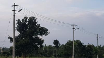 Gallery Cover Pic of Kartheekeya Lake View