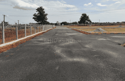Project Images