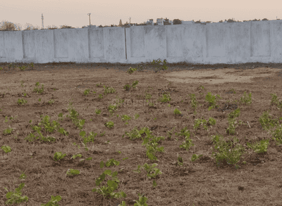 Project Image of 3398.38 - 23995.99 Sq.ft Residential Plot Plot for buy in Mansi Vihar