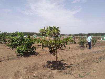 Project Image of 9600.0 - 19999.0 Sq.ft Residential Plot Plot for buy in Kingmakers Farm Land
