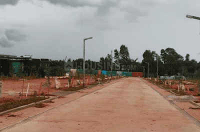 Project Images
