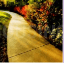 Project Image of 0.0 - 2400.0 Sq.ft Residential Plot Plot for buy in Nutech Megacity