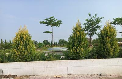 Project Image of 600 Sq.ft Residential Plot / Land for sale in Palakhedi for Rs. 2160000