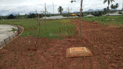 Project Image of 1108.0 - 2400.0 Sq.ft Residential Plot Plot for buy in Shriram Godhuli