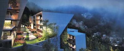 Project Images