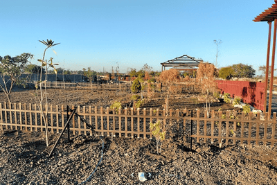 Project Image of 3500.0 - 9000.0 Sq.ft Residential Plot Plot for buy in The Monarch Farms