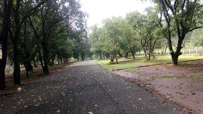 Project Image of 1420.0 - 10222.0 Sq.ft Residential Plot Plot for buy in Acreages River Park