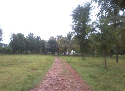 Project Image of 1200.0 - 2400.0 Sq.ft Residential Plot Plot for buy in KT Samruddhi Farm Plots