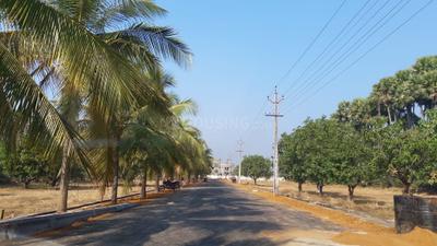 Project Images