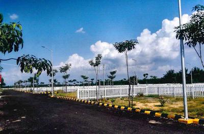 Fomra Magica Phase 2 Elevation 1