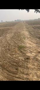 ALD Flower Vally Plots Plot 2