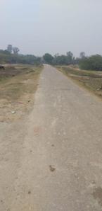 Project Image of 1000.0 - 2974.0 Sq.ft Residential Plot Plot for buy in AIPL Rudra City