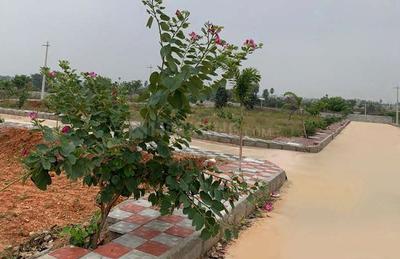 Project Image of 1350.0 - 2961.0 Sq.ft Residential Plot Plot for buy in Risheek Aiims Enclave