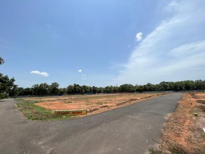 Project Image of 516.0 - 2787.0 Sq.ft Residential Plot Plot for buy in Chandra Avenue