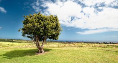 Project Image of 0.0 - 3500.0 Sq.ft Residential Plot Plot for buy in Lodha Isle Of Bliss