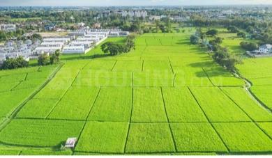 Project Image of 1080.0 - 2160.0 Sq.ft Residential Plot Plot for buy in Bhupati Amgachia Abasan