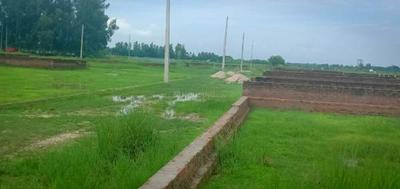 Project Image of 1000.0 - 2000.0 Sq.ft Residential Plot Plot for buy in JMD Residency Phase1
