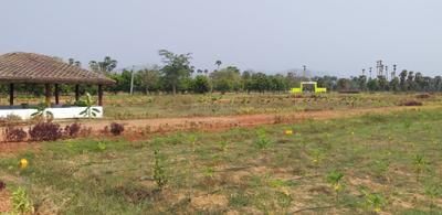 Project Image of 1485.0 - 1980.0 Sq.ft Residential Plot Plot for buy in Charan Sai Brindavanam Malabarneem Plantation